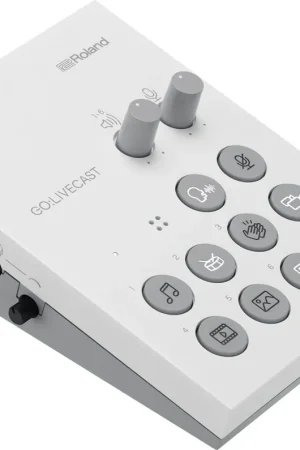 Acquista Ora Roland Go Livecast Live Streaming Audio E Video