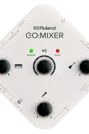 Esclusivo Roland Go Mixer