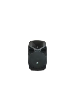 Zzipp Cassa Amplificata 10' con Bluetooth 350W Occasione Imperdibile