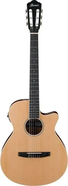 Compra Oggi Stesso Ibanez Aeg7Tnnt Chitarra Classica Amplificata Cutaway Natural