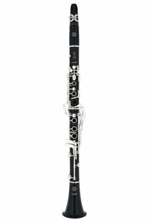 A Buon Prezzo Selmer clarinetto sib Prologue