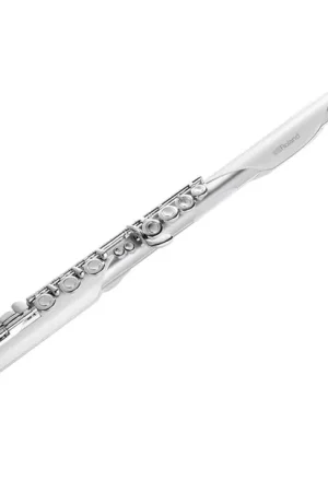 Sconto Roland flauto traverso digitale AEROPHONE BRISA