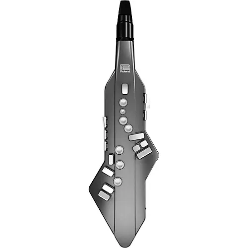 Prezzo Di Fabbrica Roland sax elettronico AE05 Aerophone Go