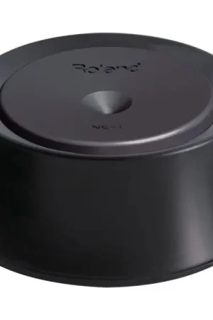 ROLAND NE-1 NOISE EATER Promo Stagionale