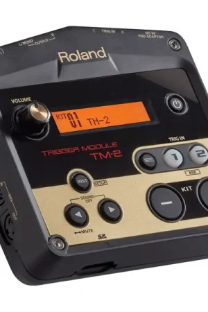 A Buon Prezzo MODULO TRIGGER ROLAND TM2