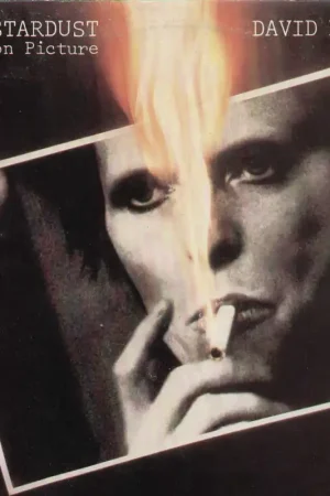 Zyggy Stardust The Motion Picture Popolare